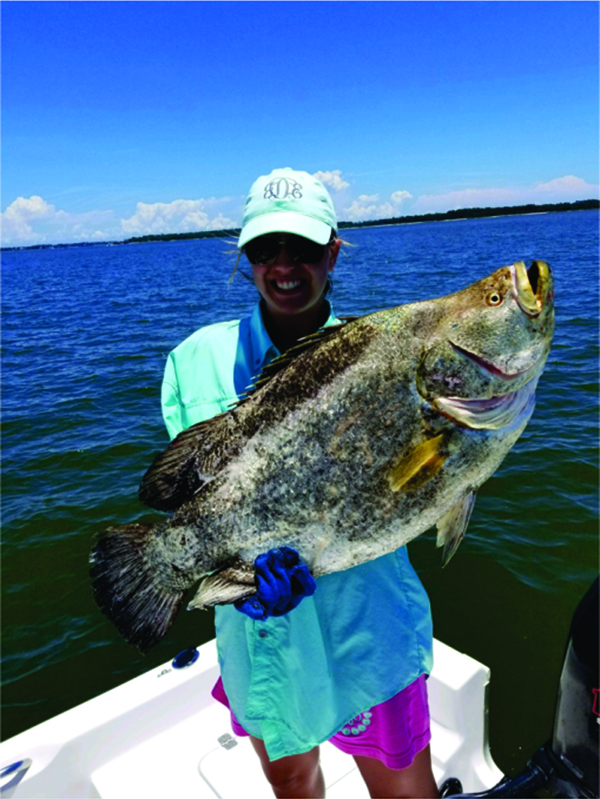 Image of Tripletail