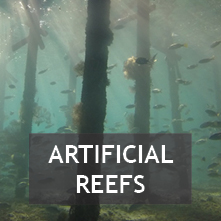 Georgia's Artificial Reefs