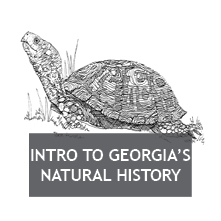 Georgia's Natural History