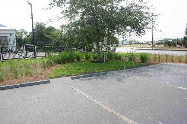 This is a photo of the bioswale at the Coastal Resources Headquarters.