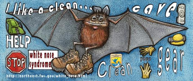Clean Bat Caves