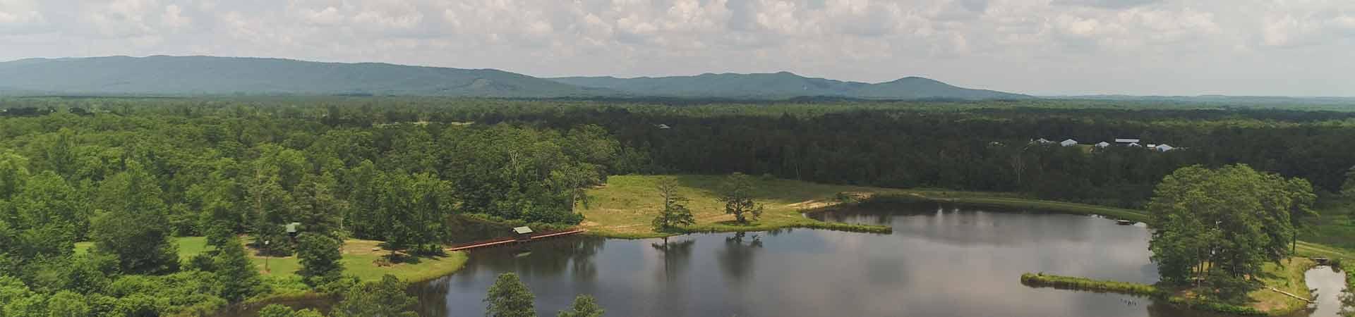 WMA Ponds