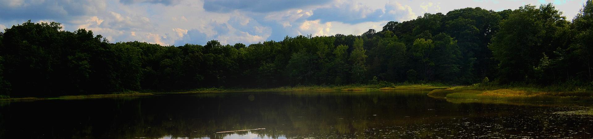 pond pond at Elbert County WMA