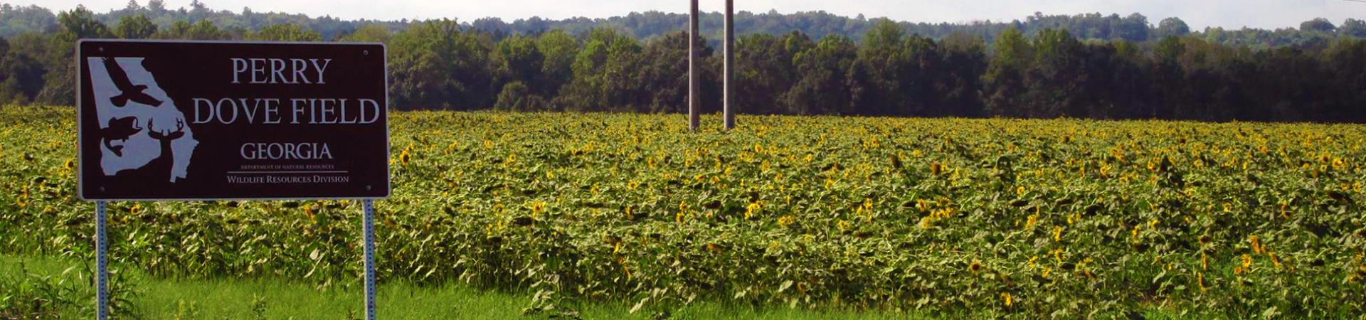 Dove Field Sign