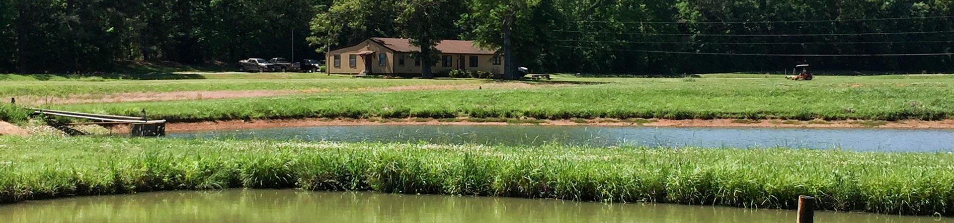 Walton Hatchery Pond