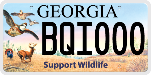 Georgia State License Plates For Sale
