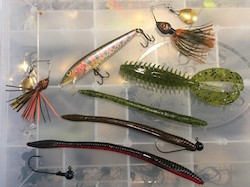 Lures