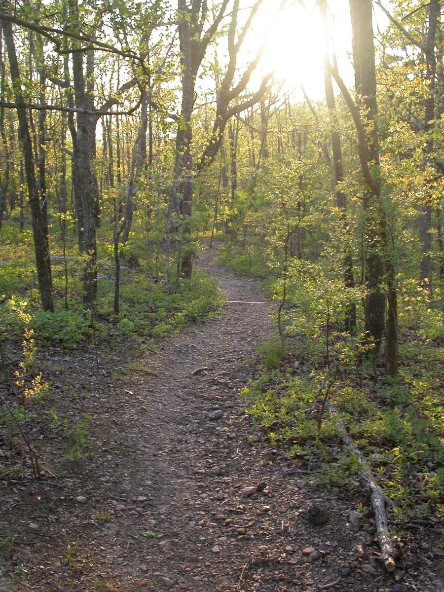 Pine Mountain Trail Sunset