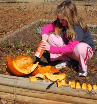 Terry's granddaughter prepares some pumpkin treats for wildlife.