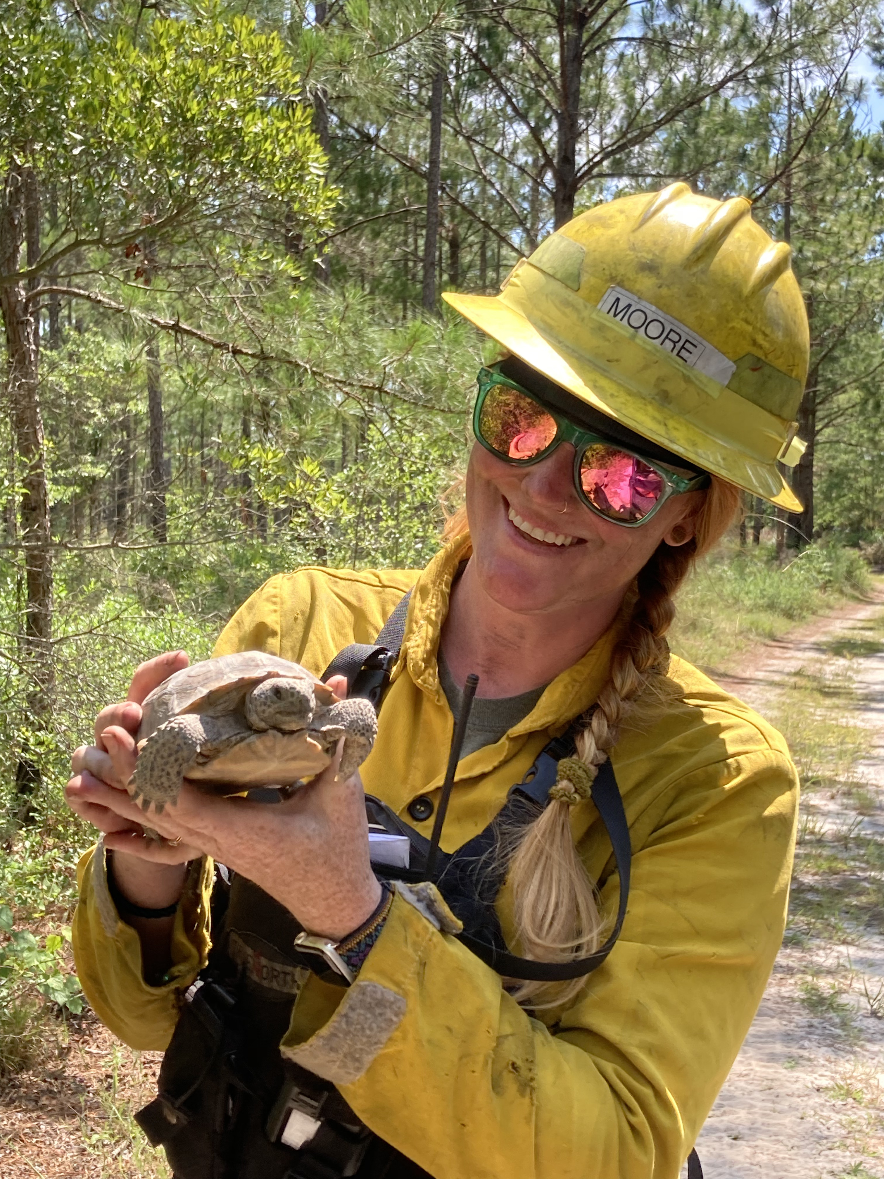 "Woman in a yellow jacket and construction hat holds a gopher tortoise in the woods.."
