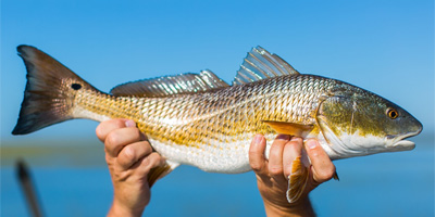 A woman and child fishing (thumbnail for the fishing event article)