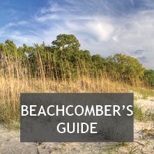 Beachcomber's Guide