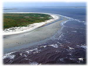 Photo of a sound with part of an island in the frame