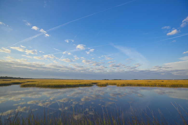 Resource Management Acitivity Landing