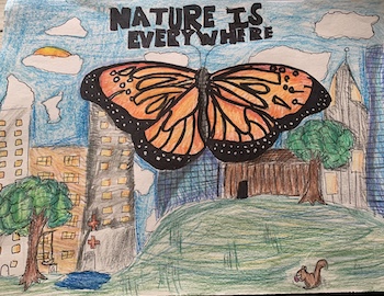 conservation of natural resources drawing