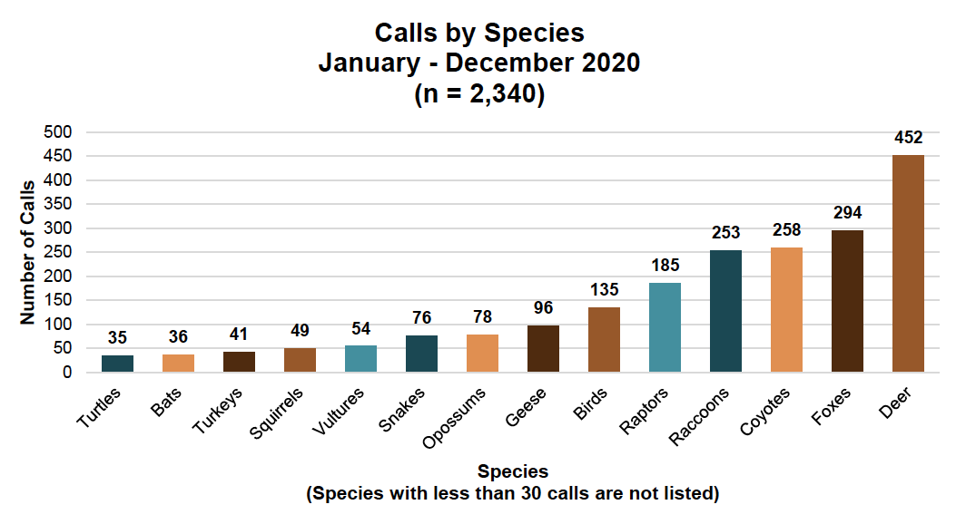 Calls by Species Chart
