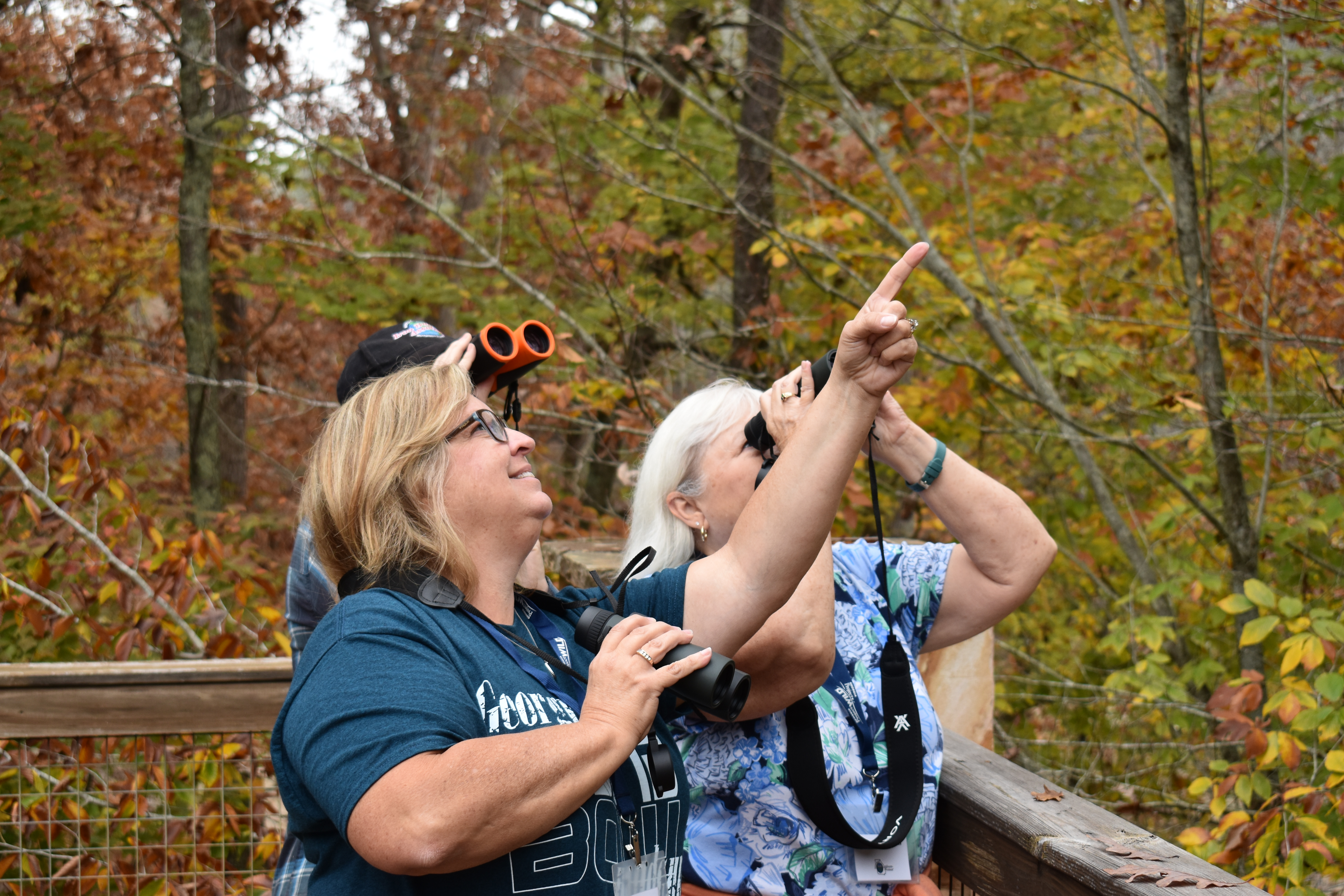 Group of older women stand in a forest with binoculars watching birds.