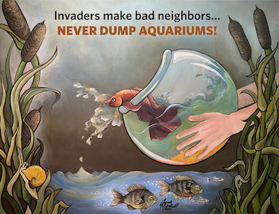 Aquarium dumping illustration