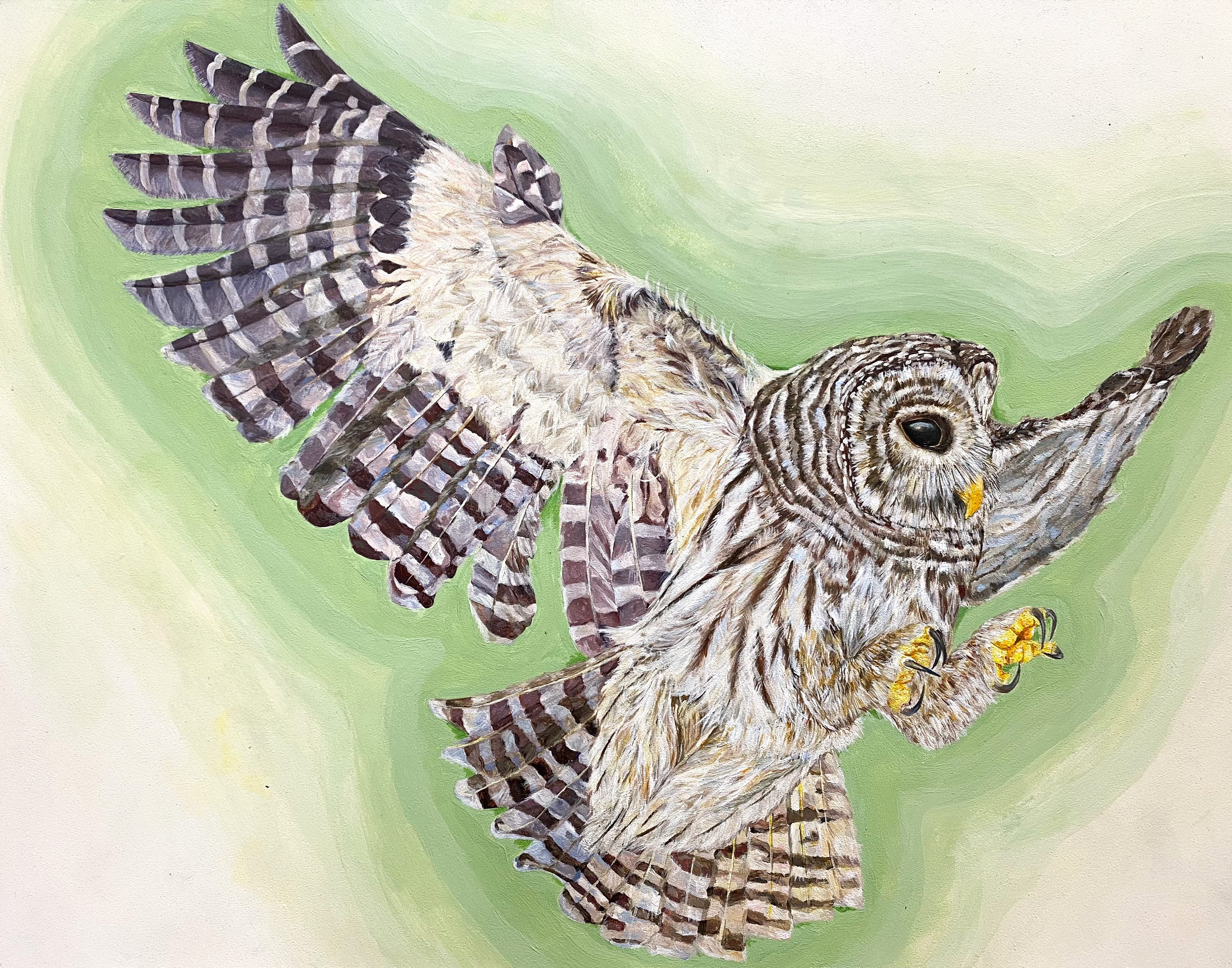 Barn owl by Aleena Huang, 13, a seventh grader at SKA Academy of Art and Design in Duluth. Credit: Aleena Huang.