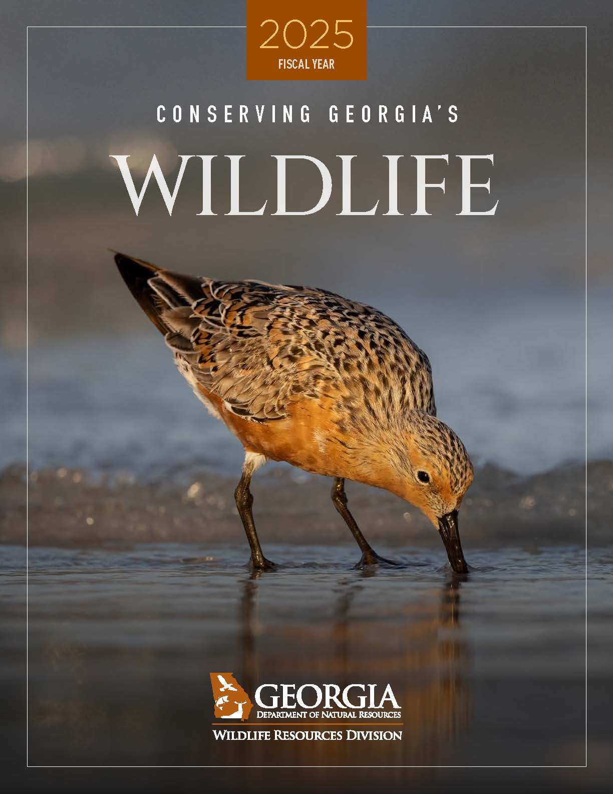 Conserving Georgia 2025 Cover