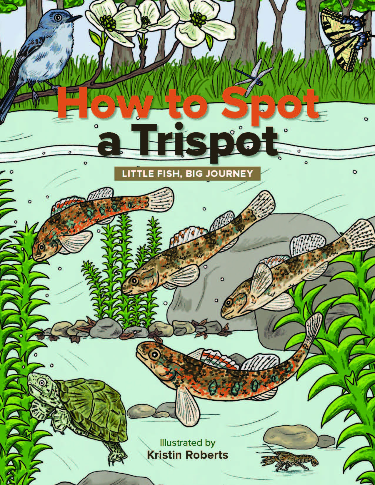 Trispot fish coloring book