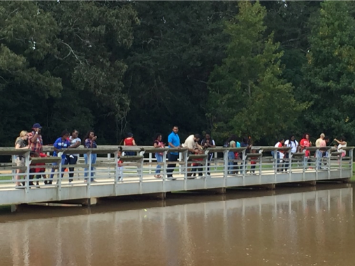 People on dock fishing