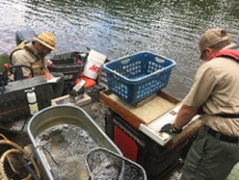 Electrofishing from boat