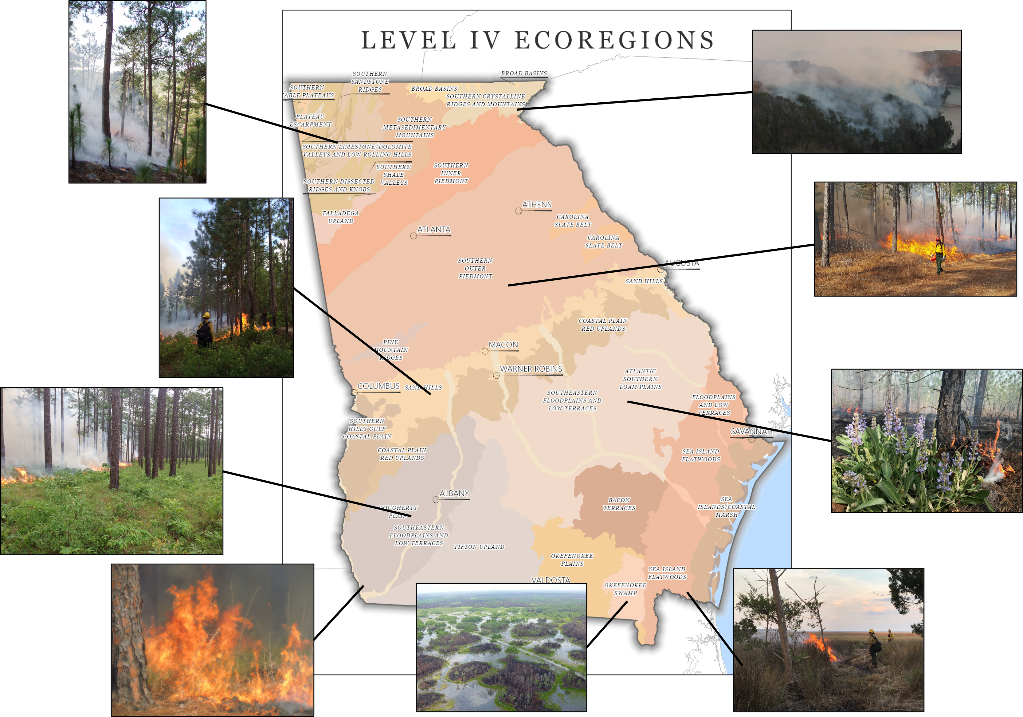 Pyric habitats map