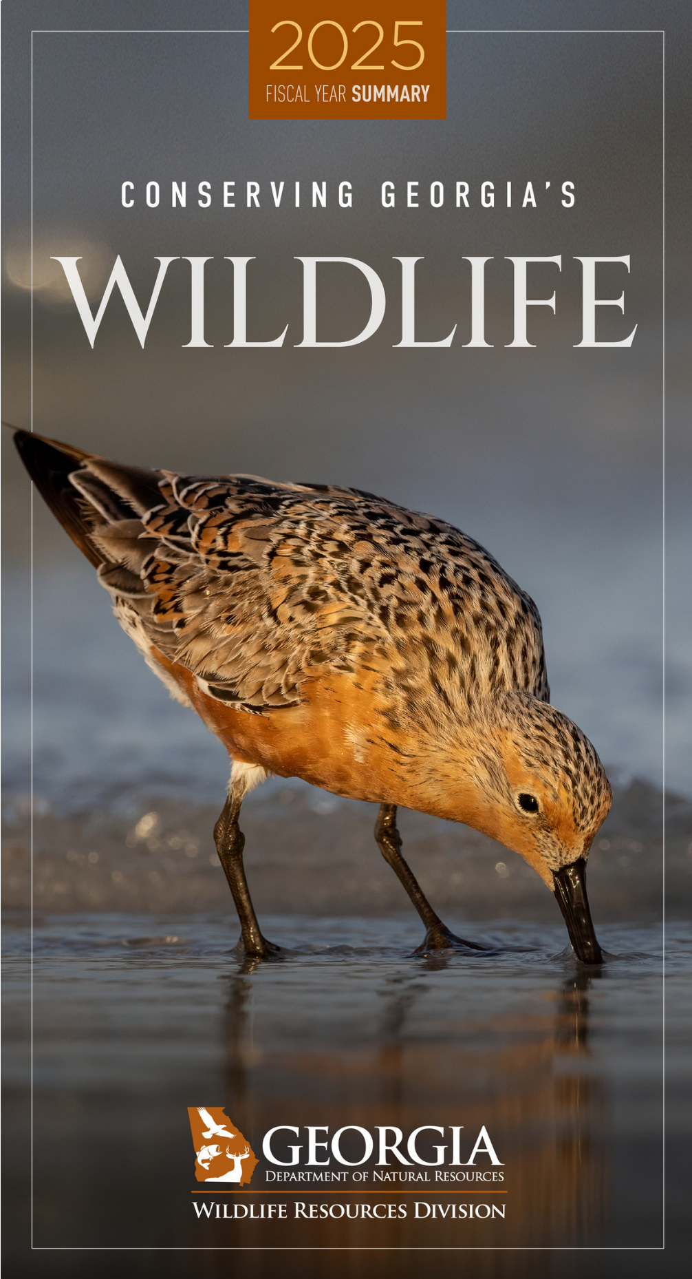 2025 WCS Annual Report cover