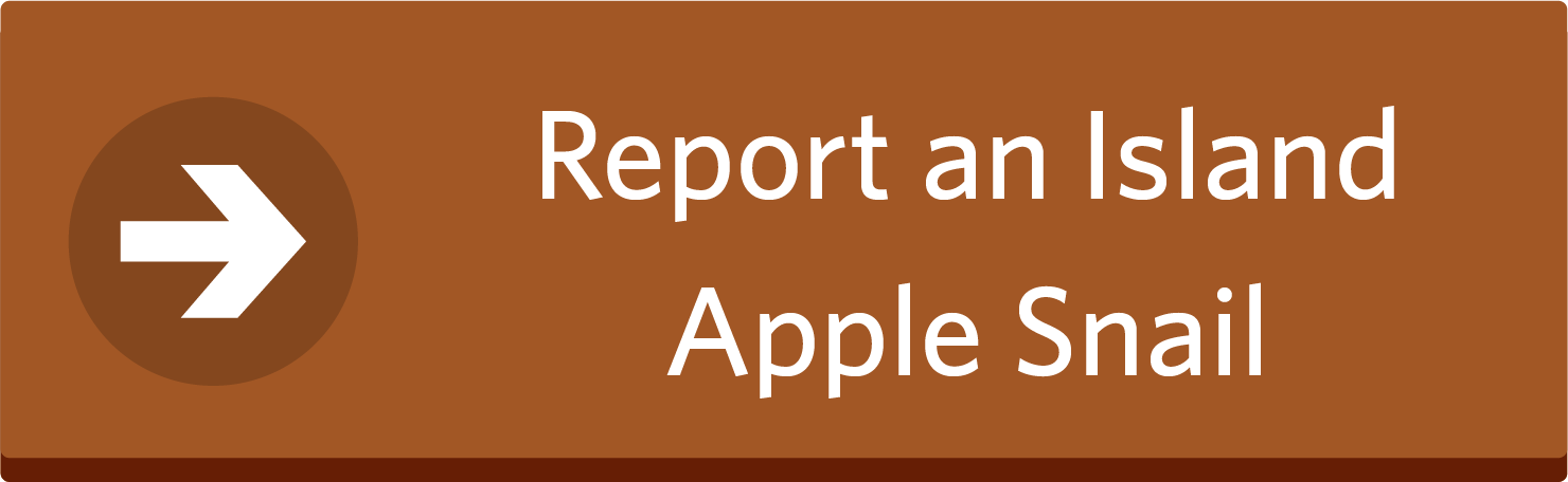 Report a Island Apple Snail Button
