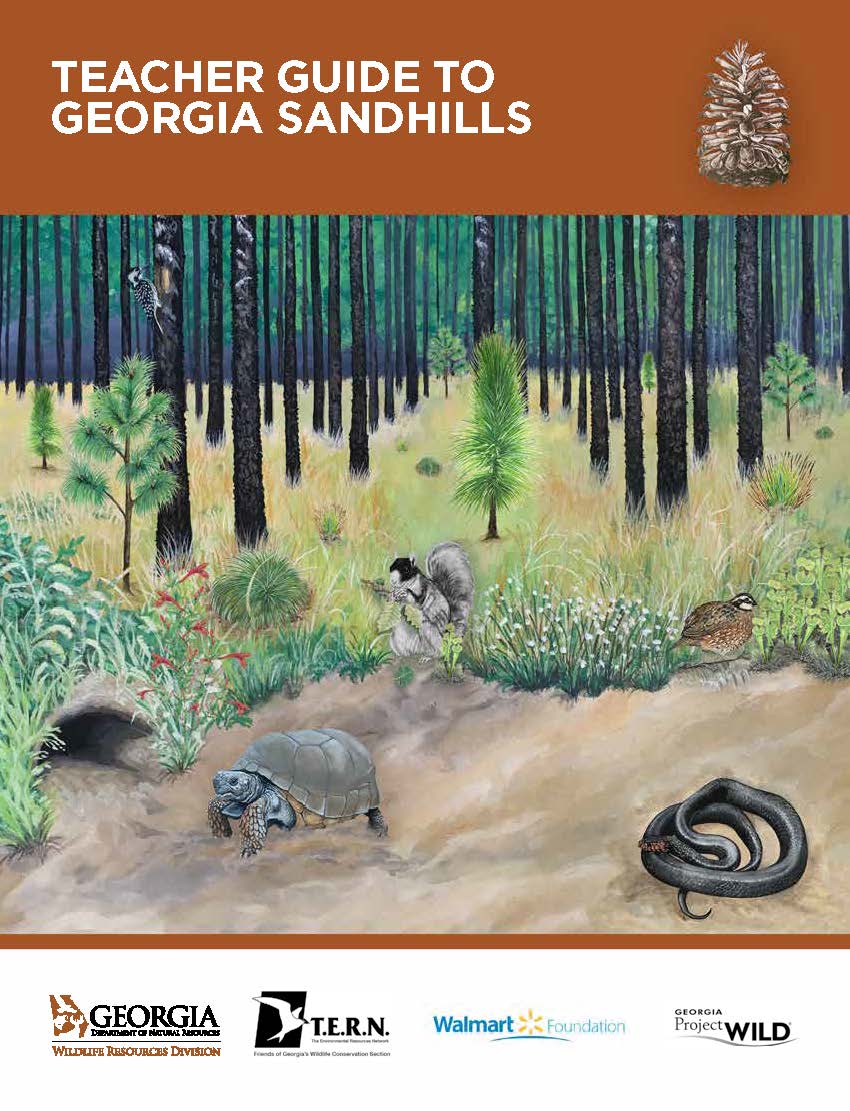 Teacher Guide to Georgia Sandhills Cover