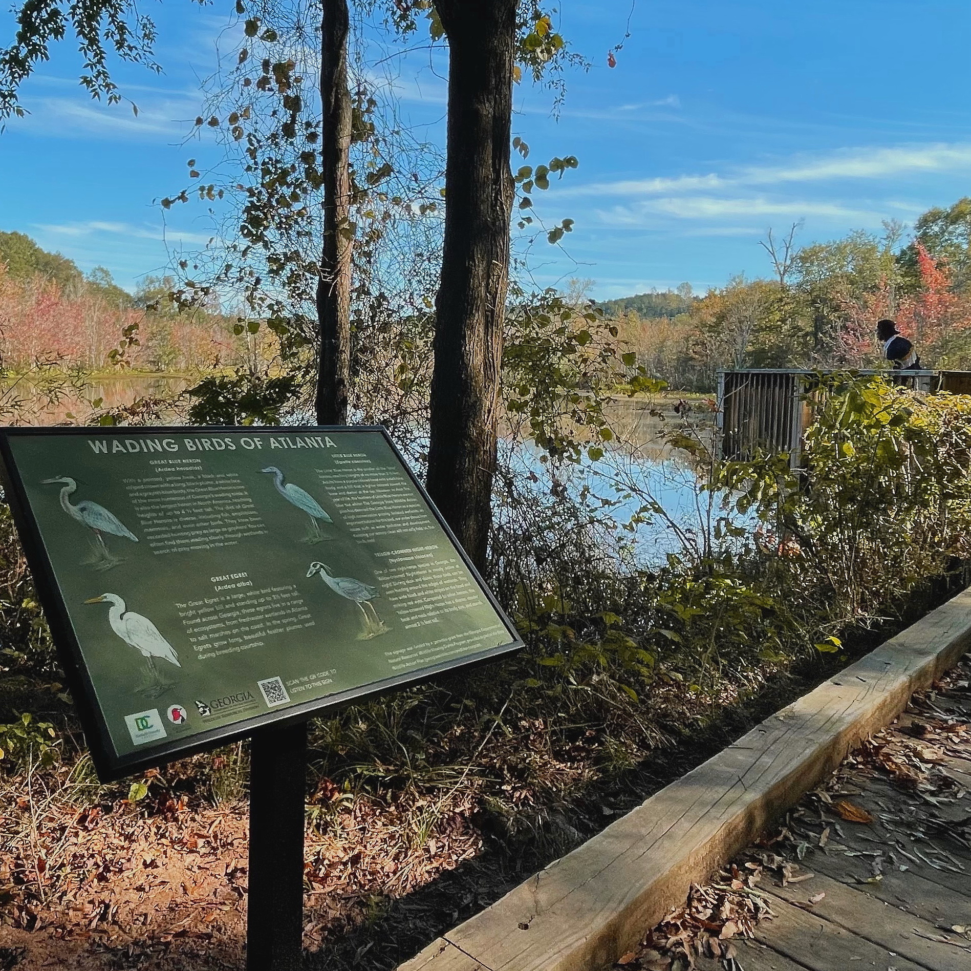 A informational sign on wading birds in Atlanta.