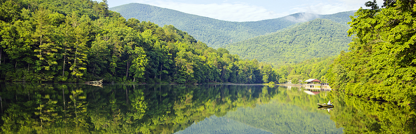 Vogel State Park
