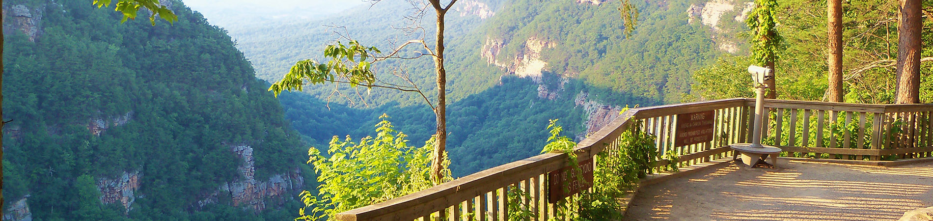 Cloudland Canyon