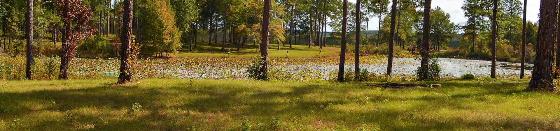 Camping Area and Pond
