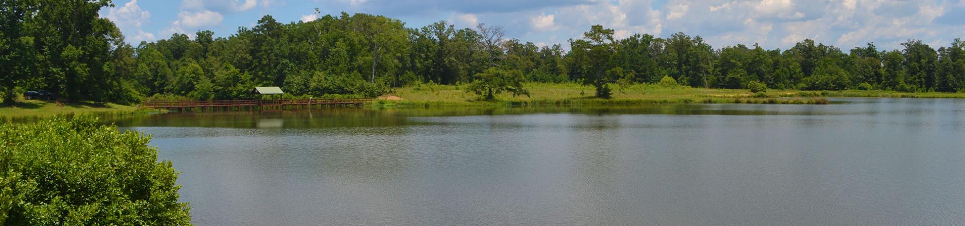 Arrowhead Lake