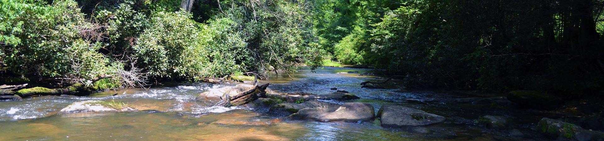 Blue Ridge River