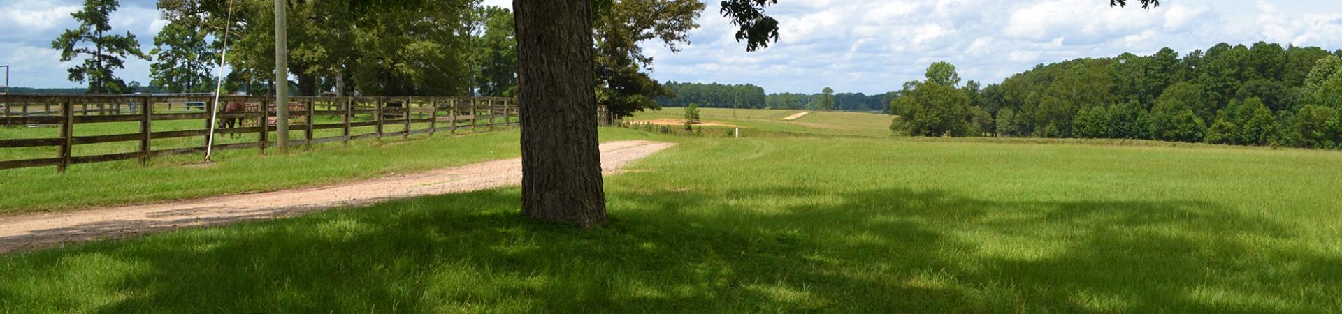 Indian Ford Farms Dirt Road