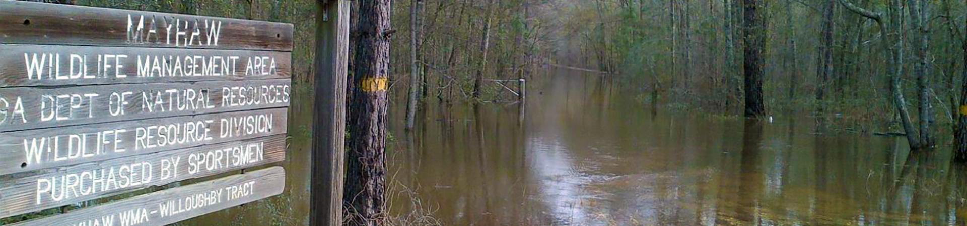 Mayhaw Sign by Water