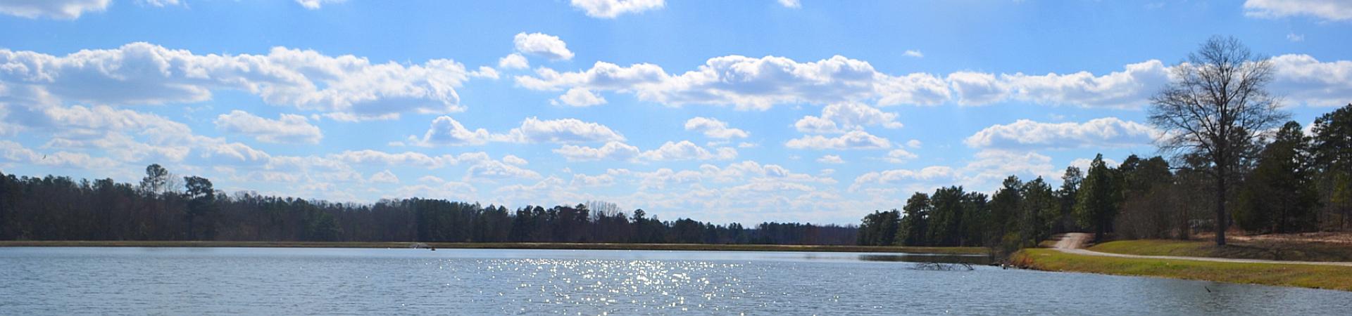 Lake and Blue Sky