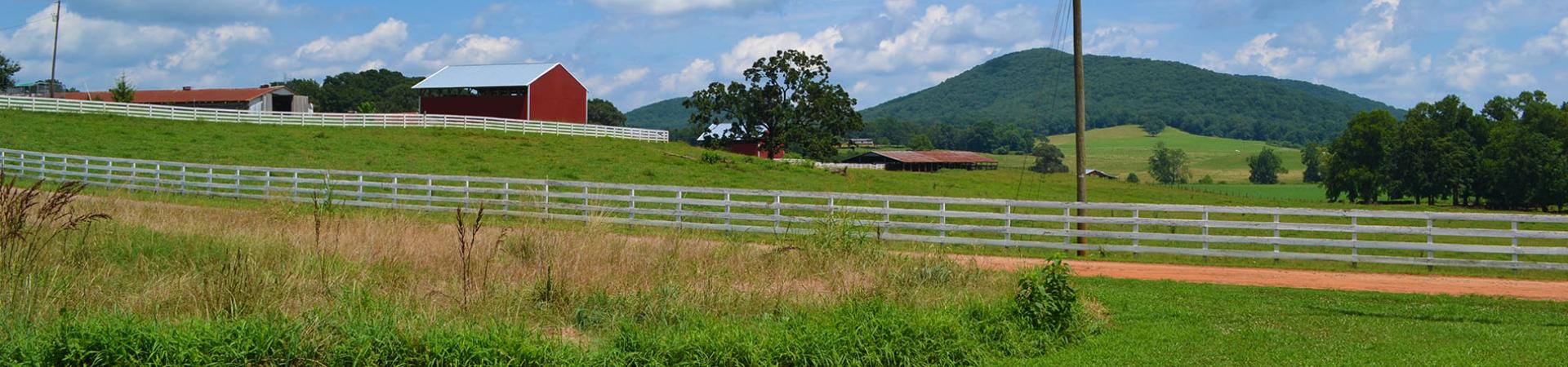 Mossy Creek Mountain in Background