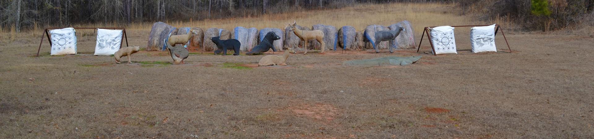 Ocmulgee Archery 3D Animals