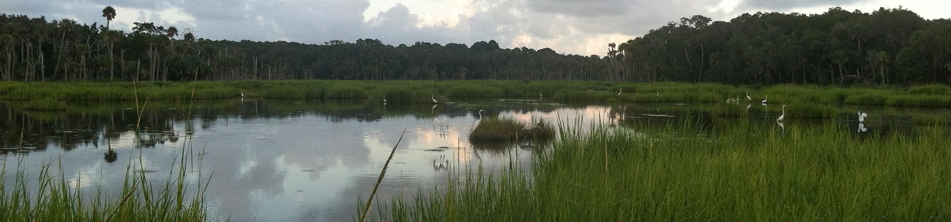 Water on Ossabaw Island