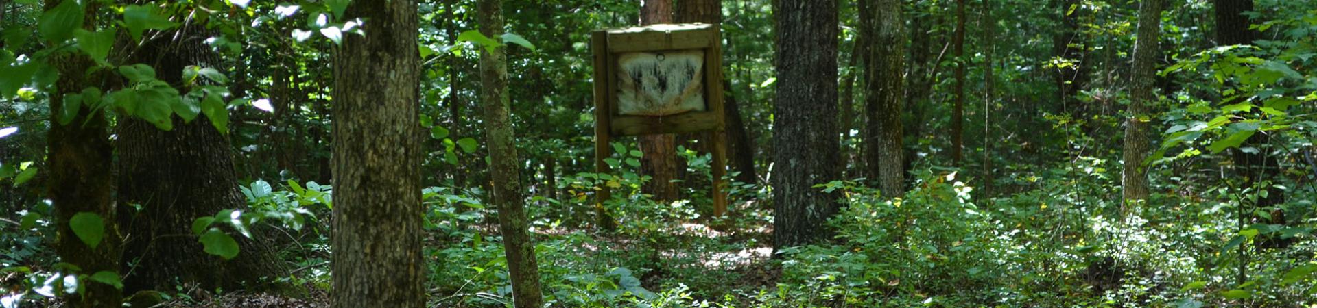 Rich Mountain Target in Woods
