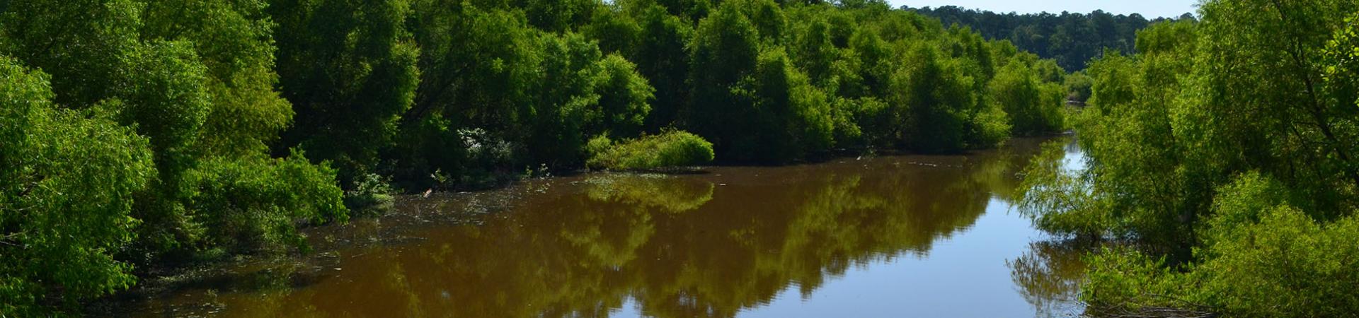 Soap Creek from Bridge
