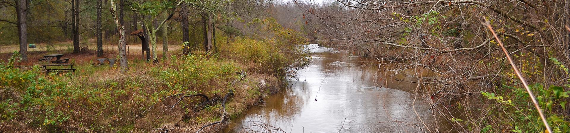 Creek at Spirit Creek