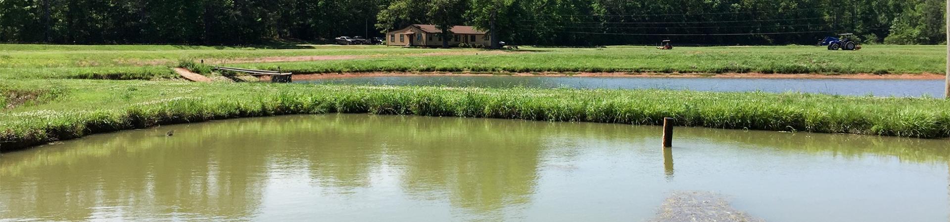 Walton Hatchery Pond