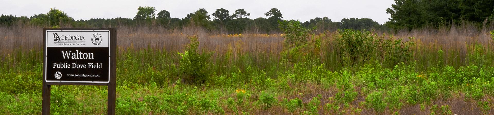 Sign for Public Dove Field