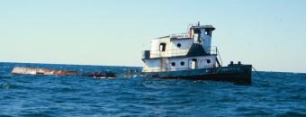 CRD WW Reef