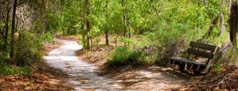 Little Ocmulgee State Park & Lodge